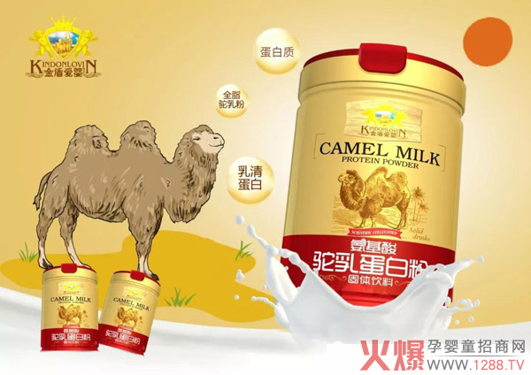 金盾爱婴新品上市――骆乳蛋白粉