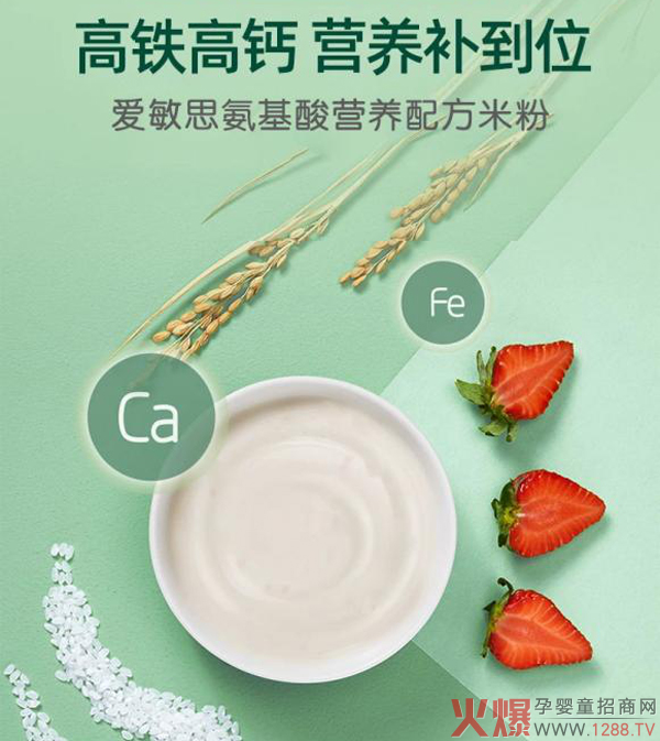 愛敏思氨基酸營養(yǎng)配方米粉2.jpg