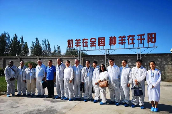 钓鱼台牌羊奶粉——走进秦岭原生态奶源地-企业报道|火爆孕婴童招商网