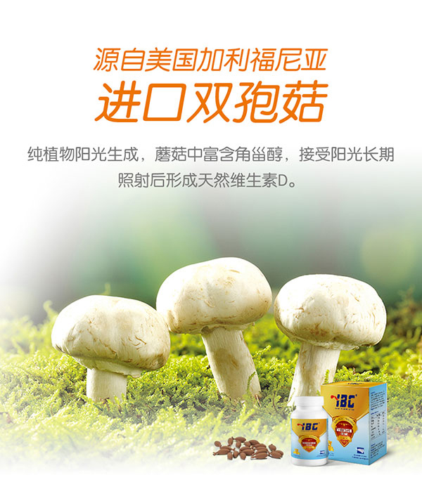 艾贝斯蘑菇粉凝胶糖果1.jpg