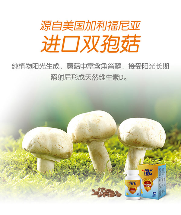 艾貝斯蘑菇粉凝膠糖果1.jpg 艾貝斯蘑菇粉凝膠糖果1.jpg