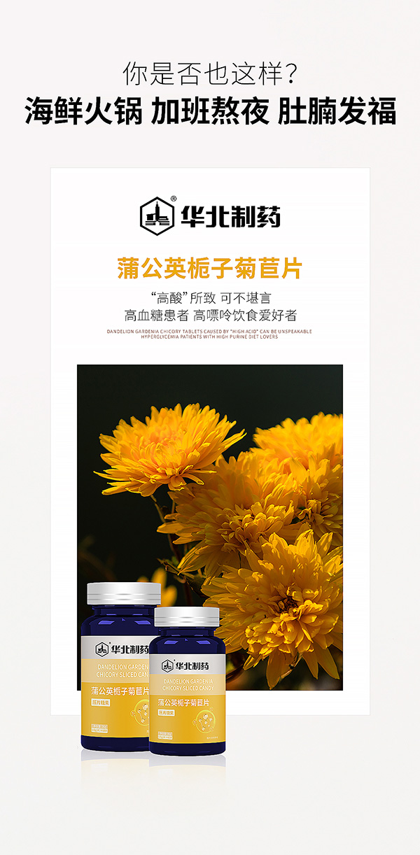 華北制藥蒲公英梔子菊苣.jpg