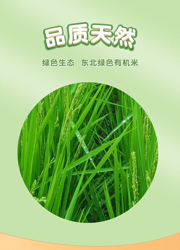 饱贝星球多谷物胚芽米 (2).jpg