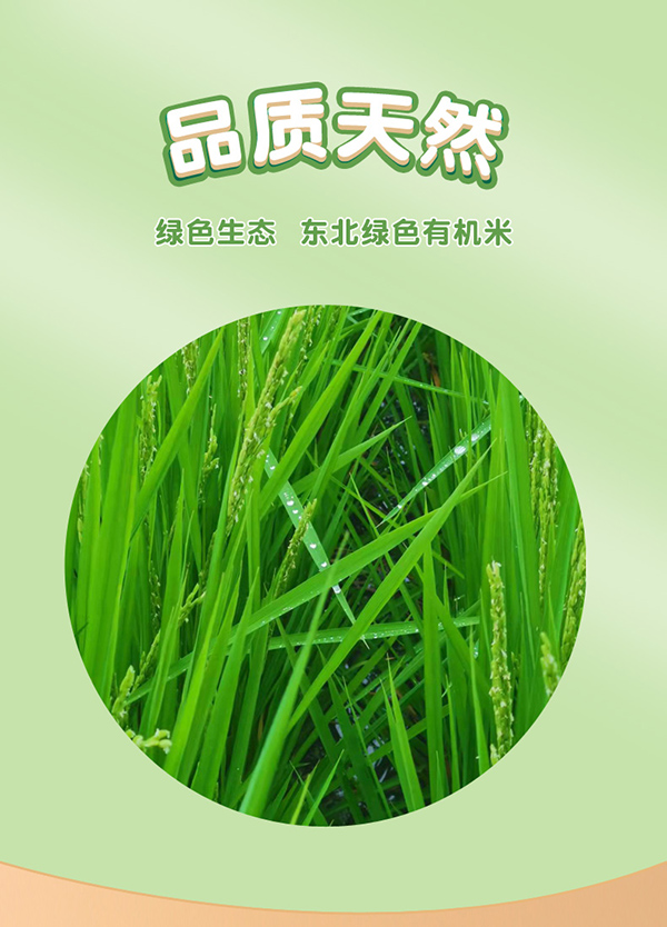 饱贝星球有机胚芽米 (9).jpg