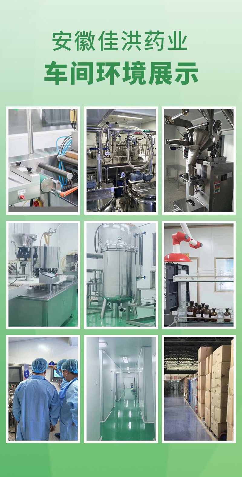 安徽佳洪健康产业有限公司 (3).jpg