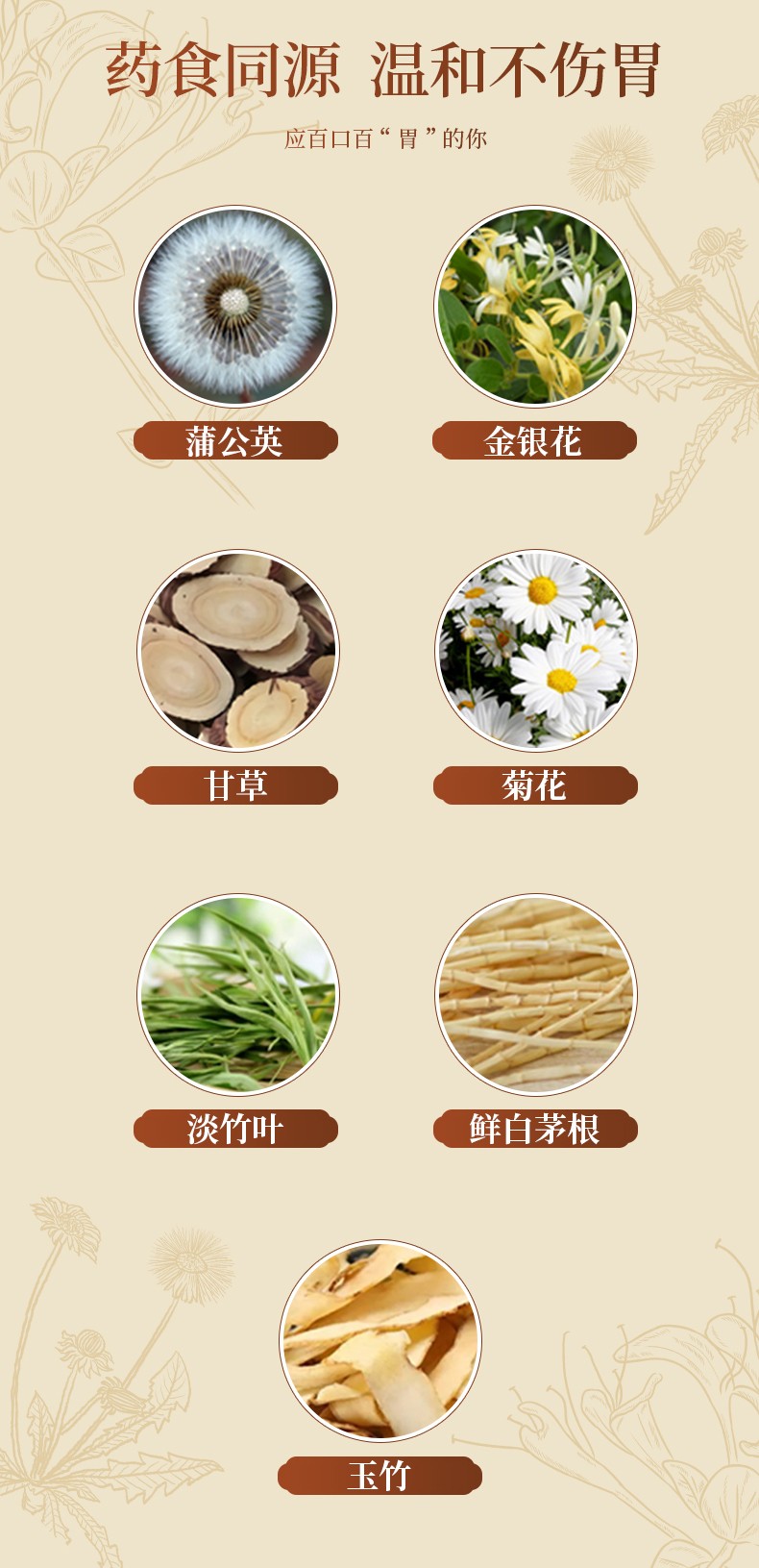 藥食同源詳情-蒲公英_05.jpg