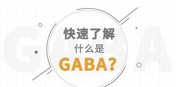 Ϣ˶ǰ루GABAͷڵķӦ