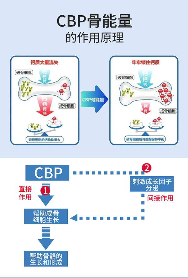 圣諾熊膠原海藻鈣壓片糖果詳情_(kāi)09.jpg