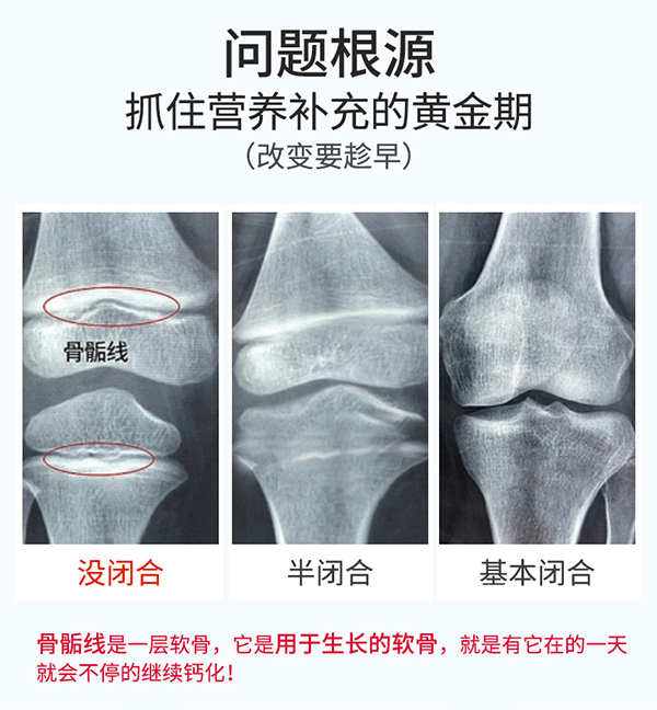 圣諾熊膠原海藻鈣壓片糖果詳情_(kāi)03.jpg