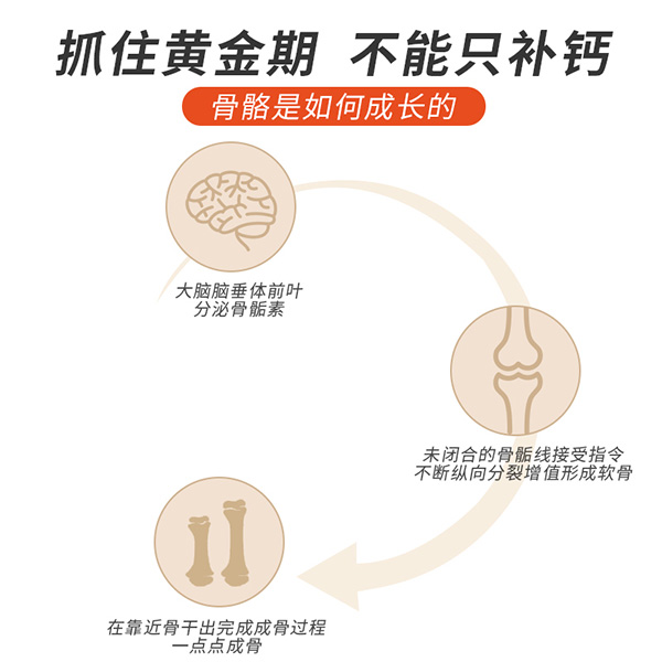 圣諾熊膠原海藻粉固體飲料主圖2-新包裝.jpg