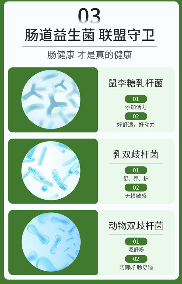 圣諾熊益生元鼠李糖菌固體飲料詳情新包裝_07.jpg