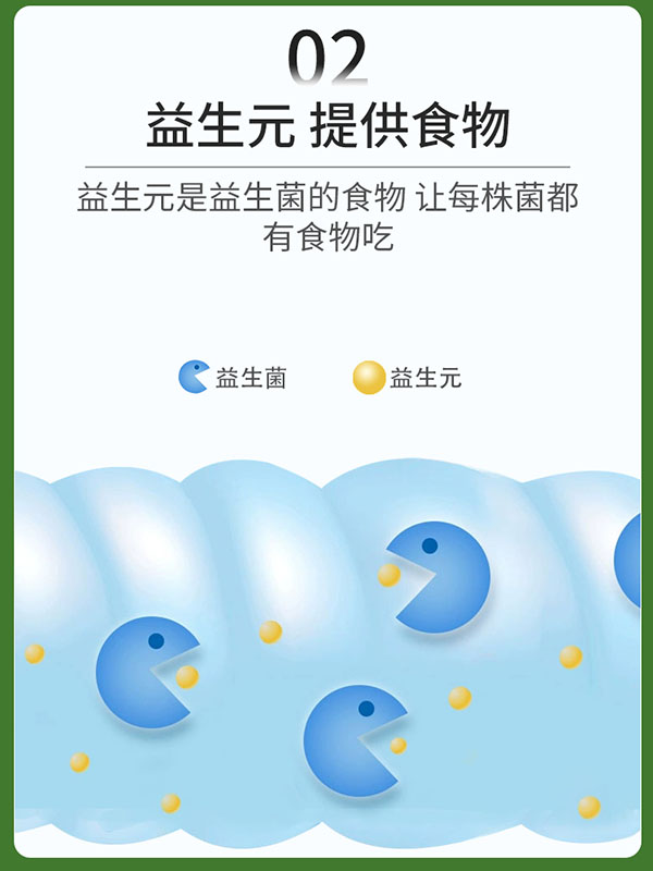 圣諾熊益生元鼠李糖菌固體飲料詳情新包裝_06.jpg