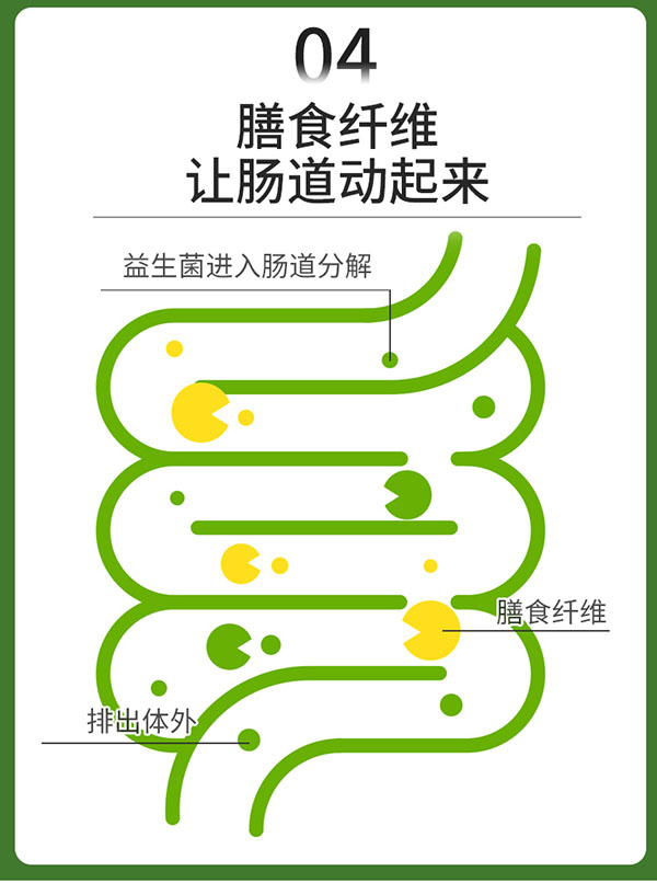 圣諾熊益生元鼠李糖菌固體飲料詳情新包裝_08.jpg