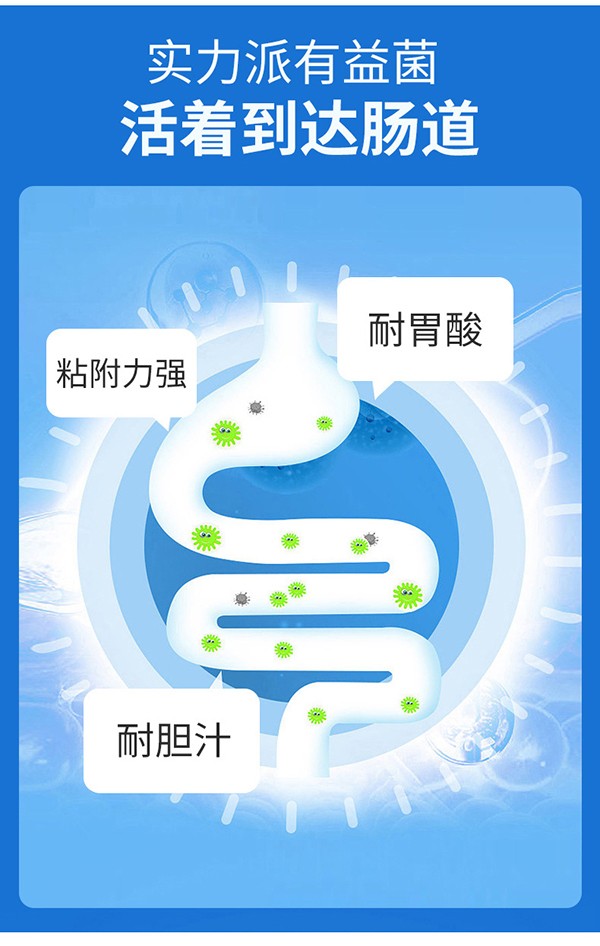 圣諾熊酵素六益菌固體飲料11.jpg