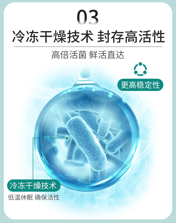 圣諾熊比菲三益菌固體飲料詳情圖12.jpg
