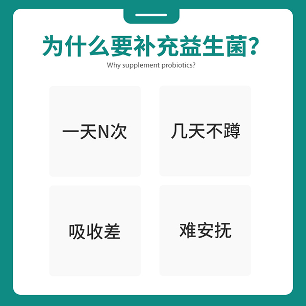 圣諾熊比菲三益菌固體飲料3.jpg