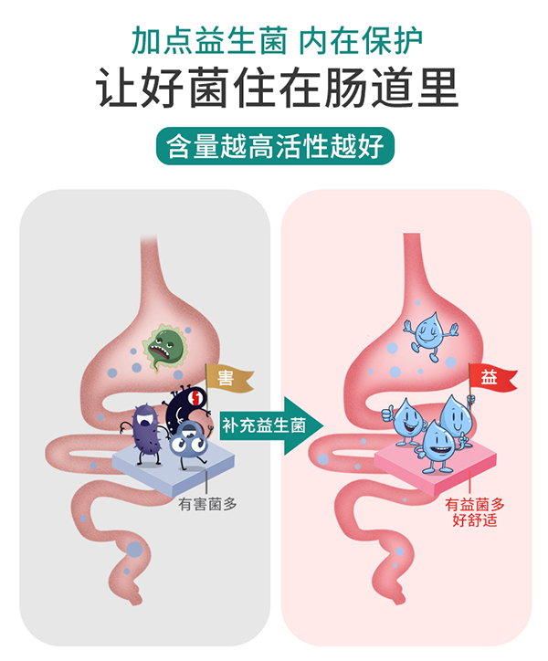 圣諾熊比菲三益菌固體飲料詳情圖9.jpg