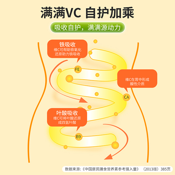 圣諾熊維生素C+三益菌固體飲料4.jpg