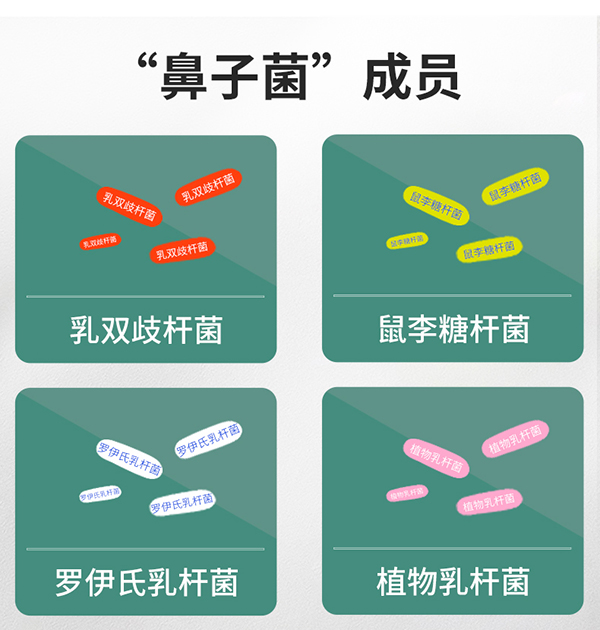 圣諾熊愛(ài)敏康復合益生菌固體飲料詳情圖5.jpg
