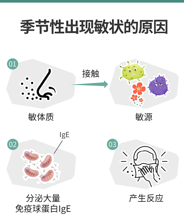 圣諾熊愛(ài)敏康復合益生菌固體飲料詳情圖3.jpg