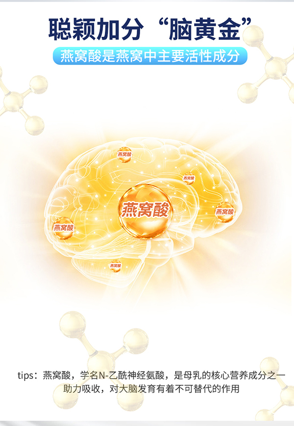 圣諾熊復合蛋白固體飲料詳情圖(10).jpg