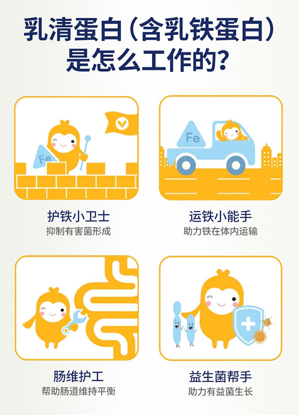 圣諾熊復合蛋白固體飲料詳情圖(5).jpg