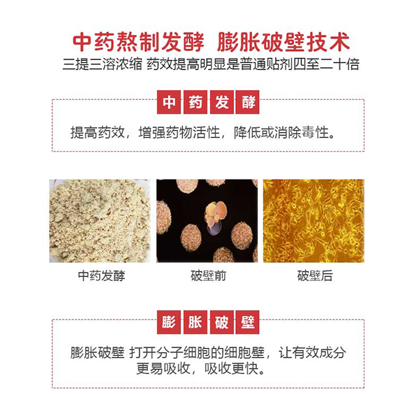 漢術(shù)經(jīng)方退熱保健貼詳情圖8.jpg