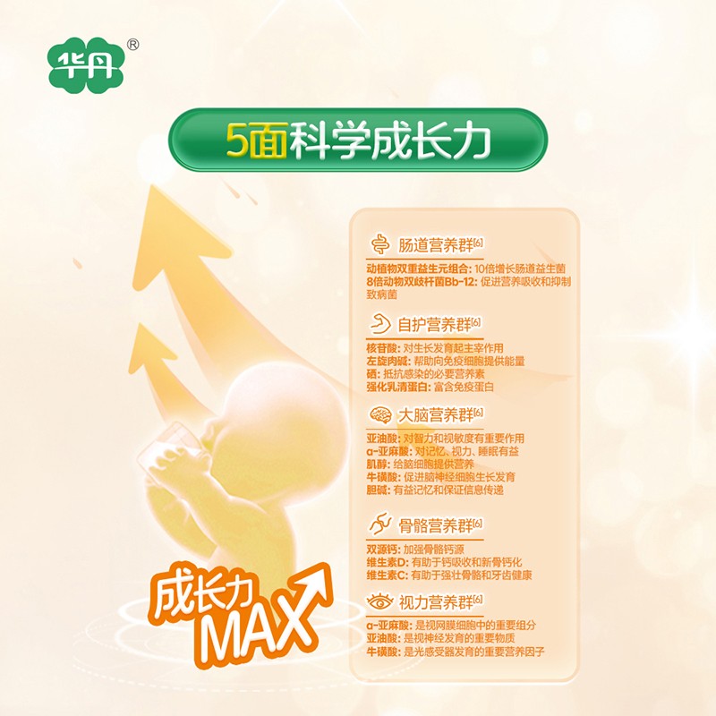   華丹稚因愛幼兒配方奶粉（12-36月齡，3段）06