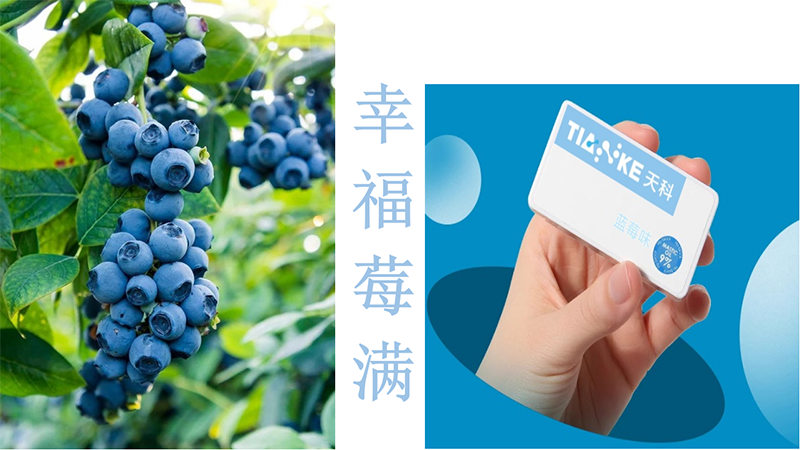ڱ ݮζ.png