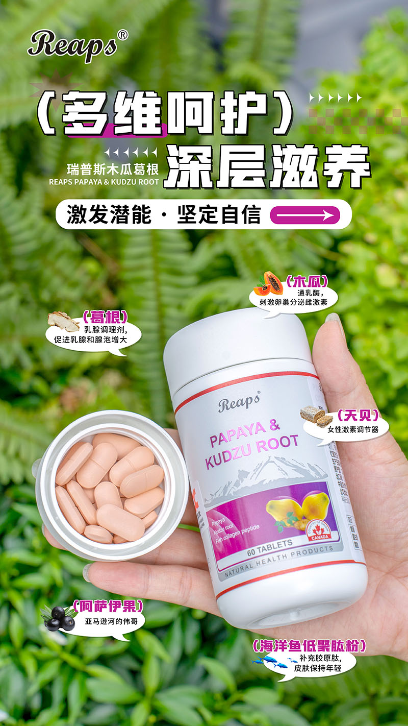 Reaps瑞普斯木瓜葛根復合壓片糖果6.jpg