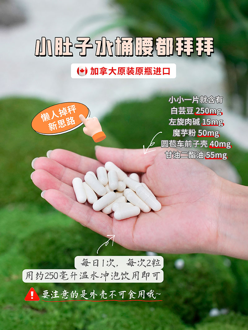 Reaps瑞普斯左旋肉堿白蕓豆復(fù)合粉3.jpg