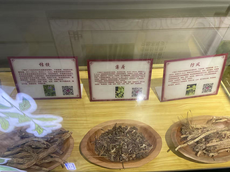 學(xué)習苗藥知識.jpg