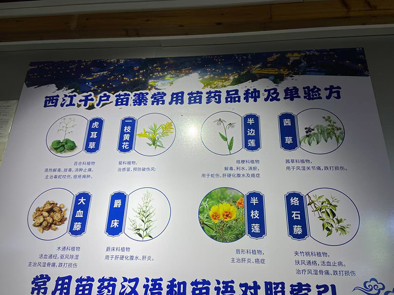 學(xué)習苗醫知識.jpg