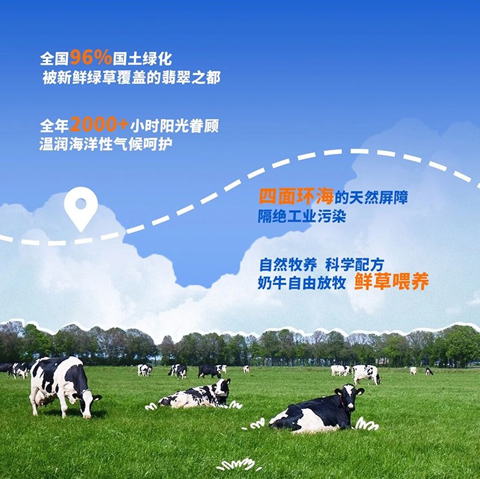 贝佳知多星小巨人儿童成长奶粉_03.jpg