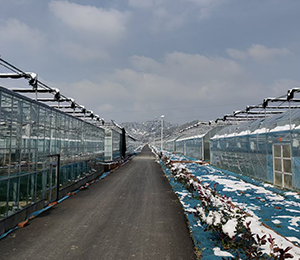  微信圖片_20251216165042_367_9