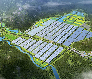  微信圖片_20250604101856