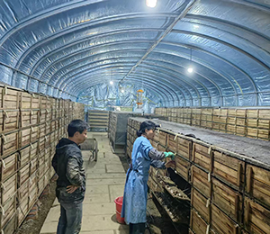  微信圖片_20251216165044_368_9