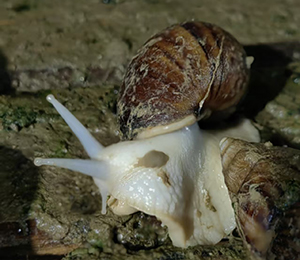  微信圖片_20251216165045_370_9