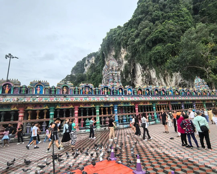 珍紐倍核心伙伴2026新馬尊享之旅4.jpg