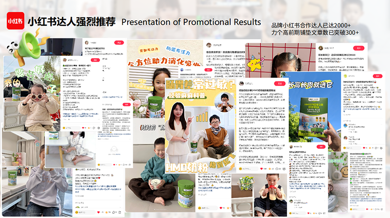 力个高乳酸菌奶粉01.png