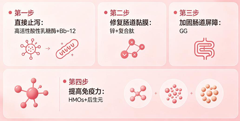 素臣乳糖酶02.png