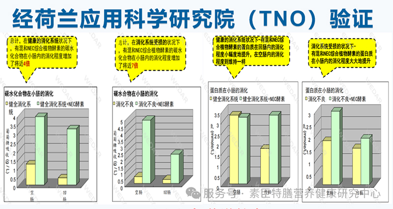 素臣味动力 ® 综合果蔬酵素粉05.jpg
