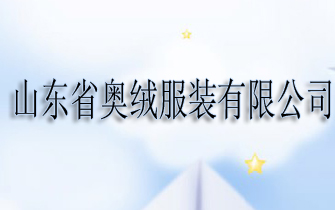 ɽ��ʡ���޷�װ���޹�˾