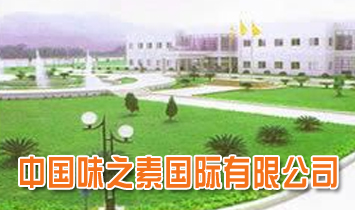 ζ֮ع޹˾