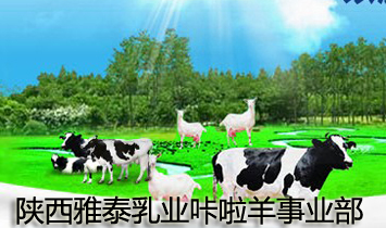̩ҵҵ