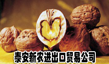 ̩ũó׹˾