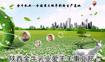 陕西金牛乳业爱羊羊事业部