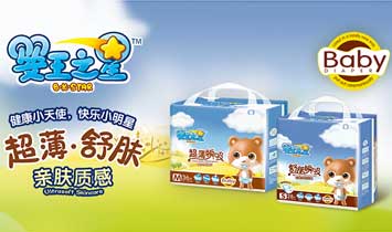 洪湖宝灿卫生用品有限公司