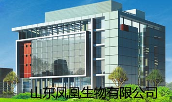 山东凤凰生物有限公司