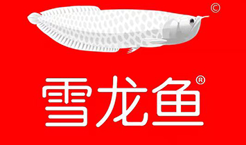 ѩ����Ʒ����ҵ��